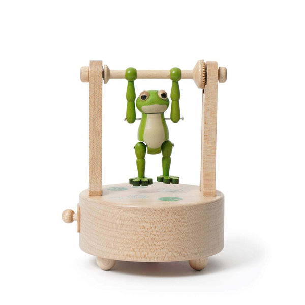 Green Frog On A PUll UP BAR