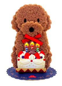 Brown Poodle And Birthday Cake